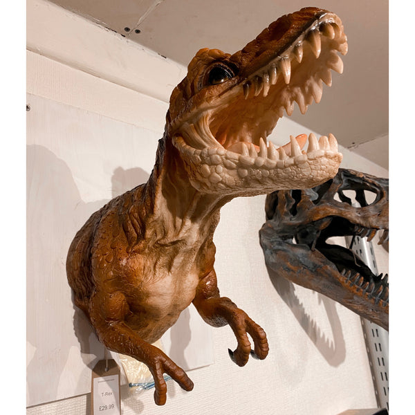 TRex Dinosaur Wall Hanging Ornament Kiss Kiss Heart