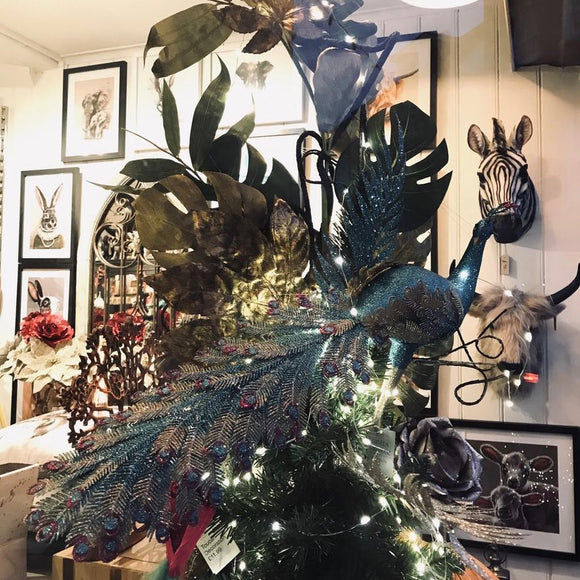 Rochester Christmas Lights Switch On!