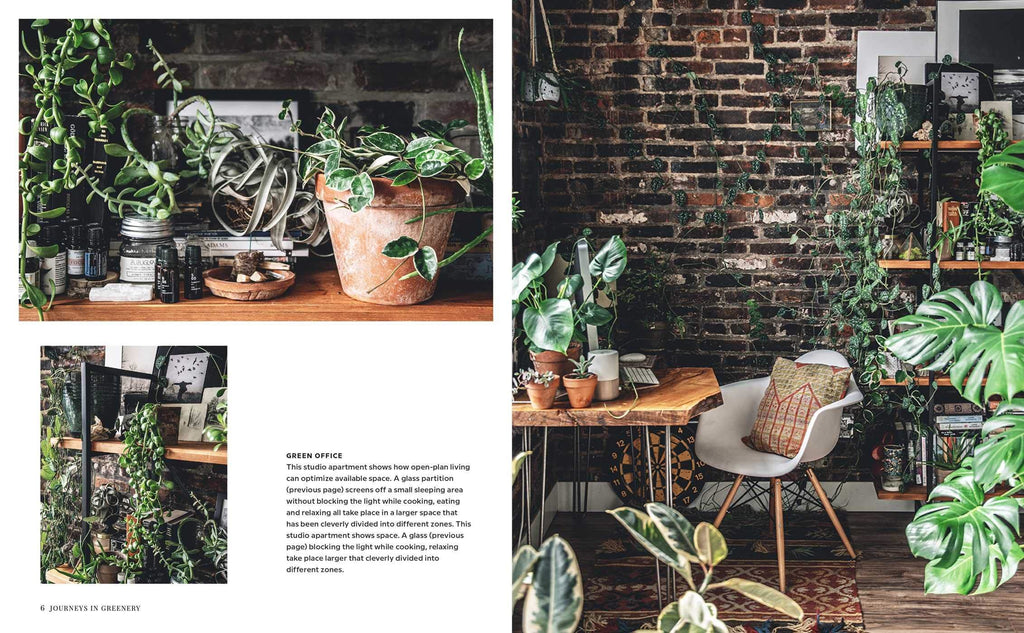 Wild Interiors - New Book