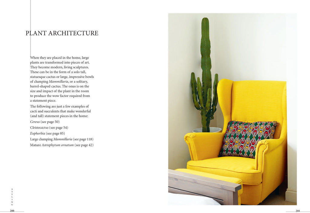 Prick: Cacti & Succulents - New Book