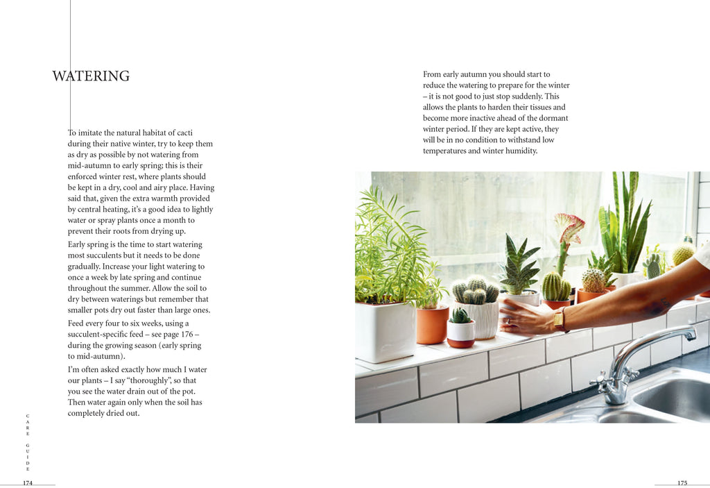 Prick: Cacti & Succulents - New Book