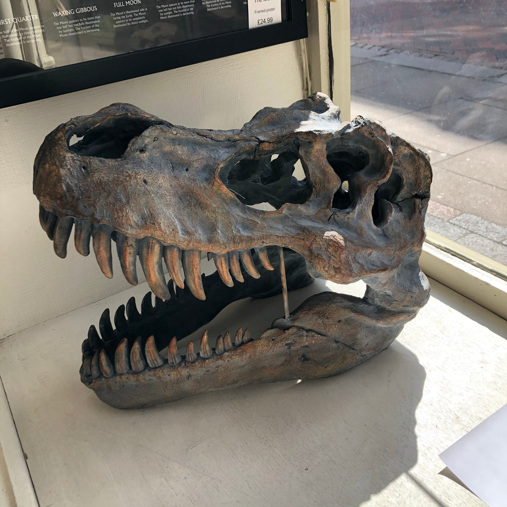 T-Rex Skull Wall Hanging Ornament - 2 Sizes