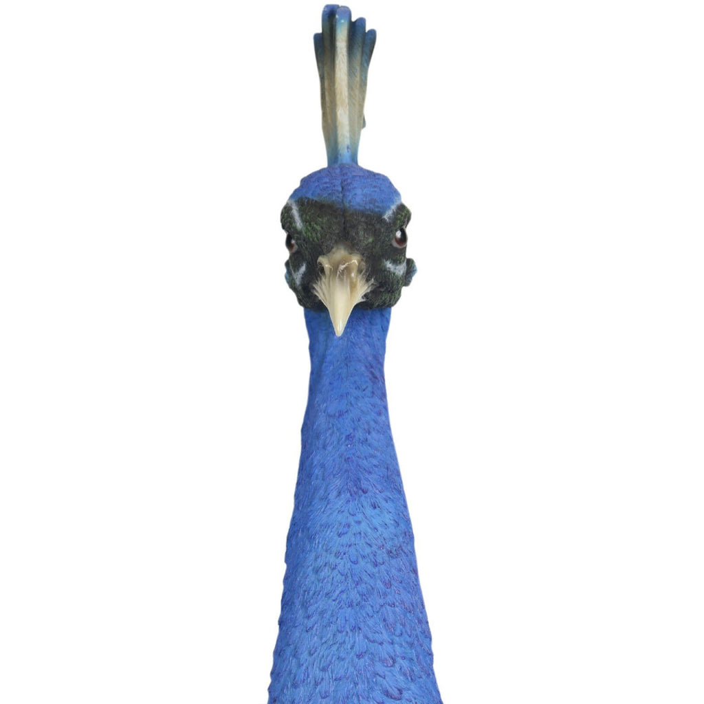 Peacock Head Wall Art