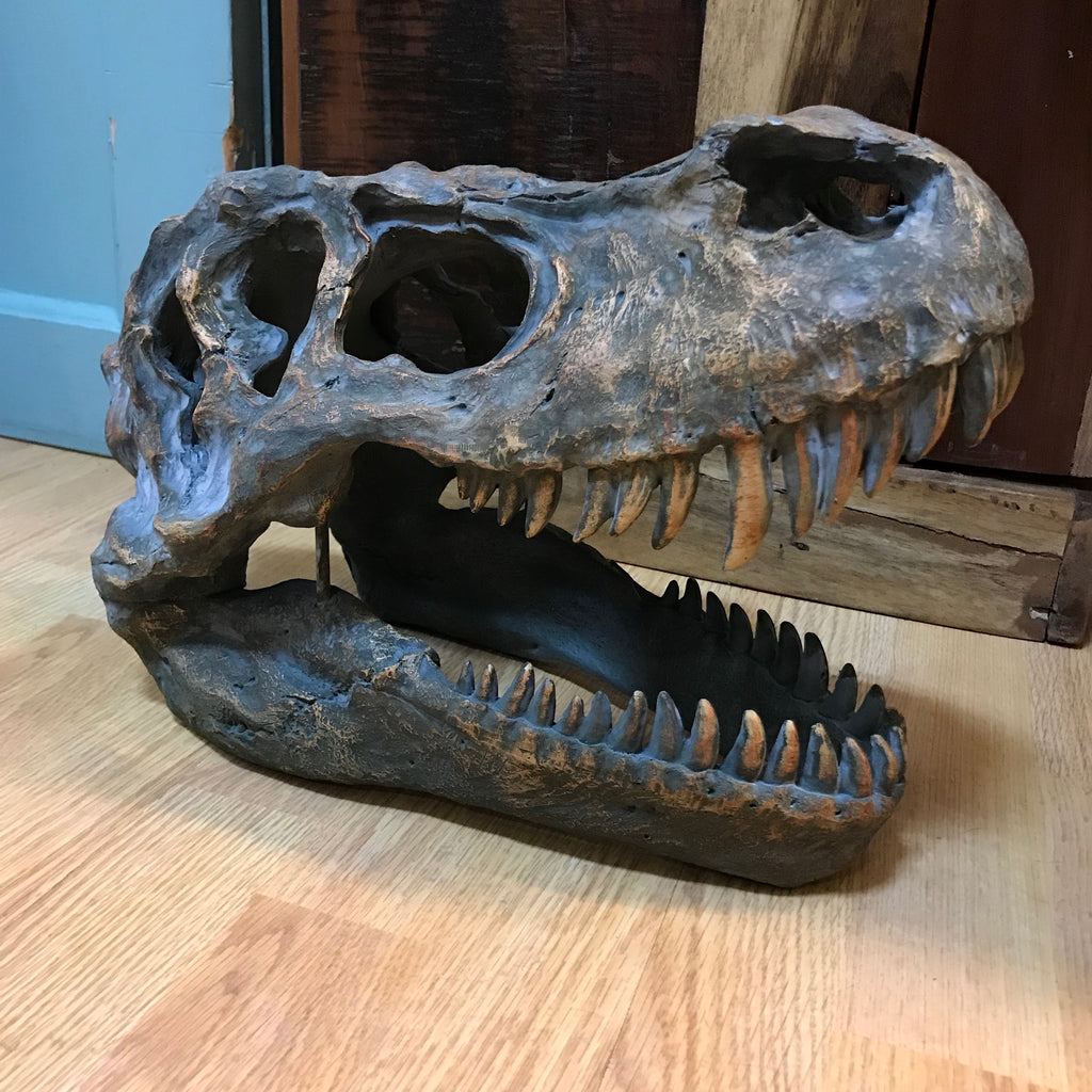 T-Rex Skull Wall Hanging Ornament - 2 Sizes