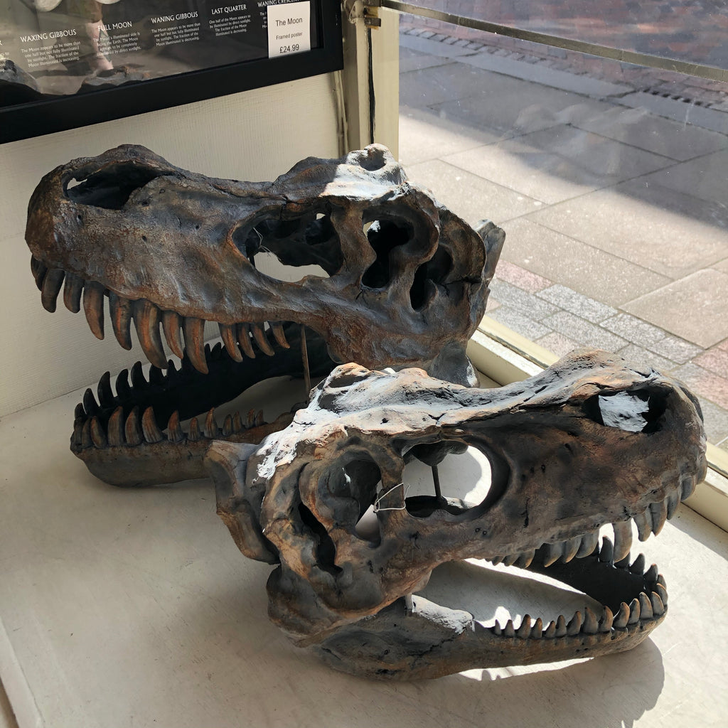 T-Rex Skull Wall Hanging Ornament - 2 Sizes