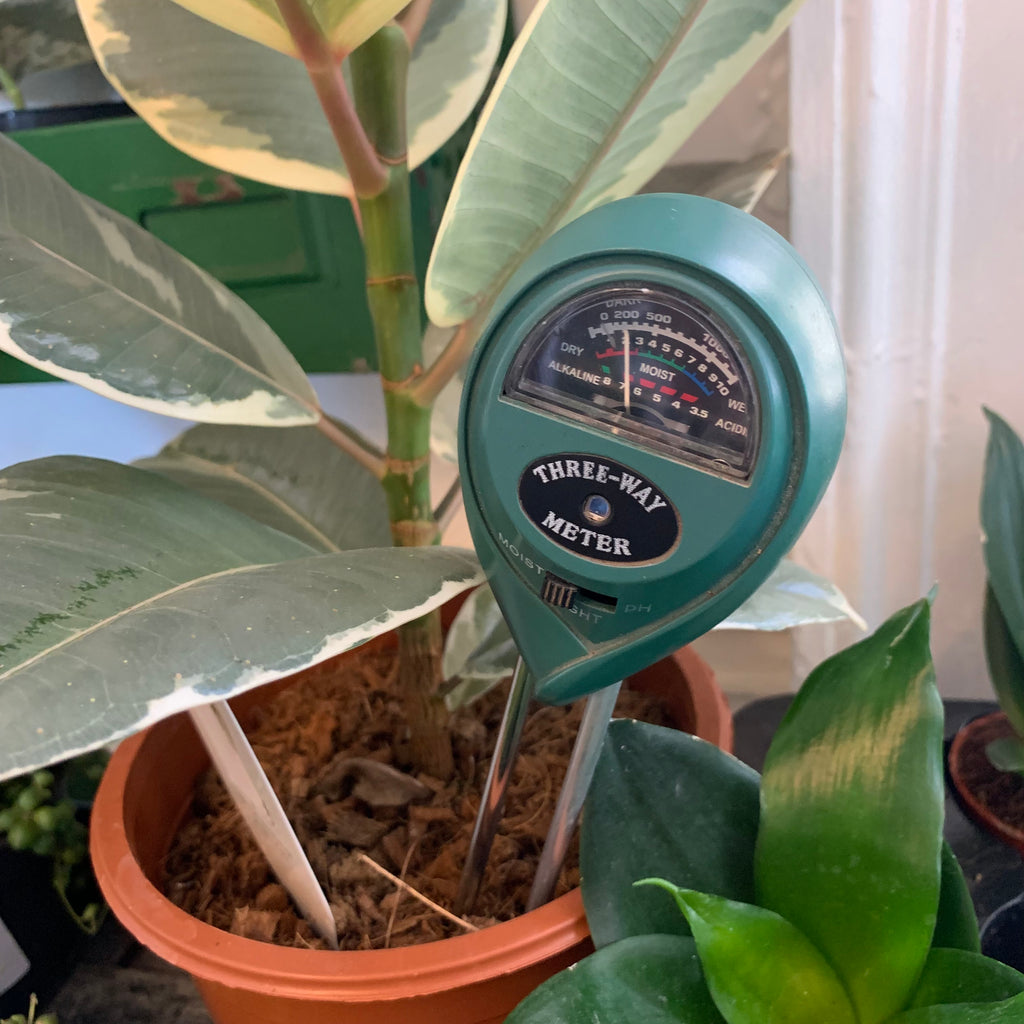 Plant Watering Aid, Moisture Meter