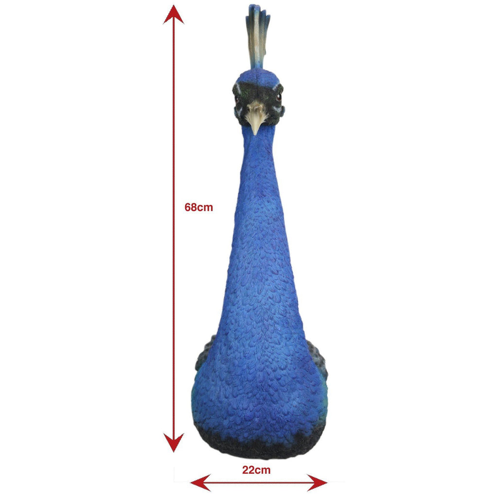 Peacock Head Wall Art