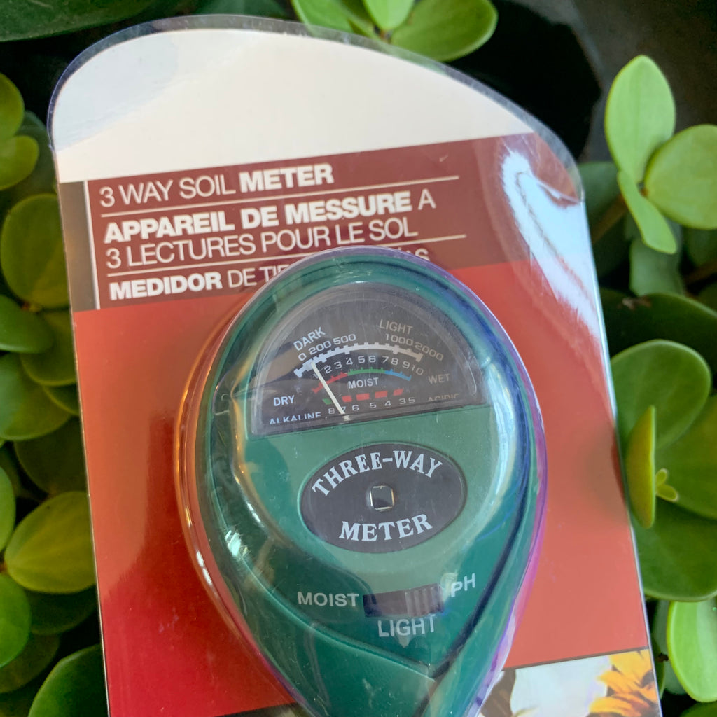 Plant Watering Aid Plant Watering Aid